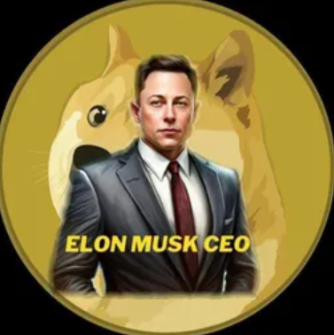 Elon Musk CEO Coin